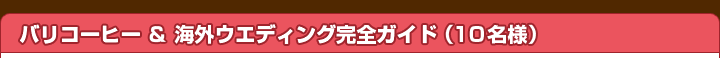 �o���R�[�q�[���C�O�E�G�f�B���O���S�K�C�h�i10���l�j