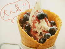 ソフトクリーム　300円～