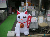 スタッフから一言