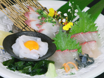 島の魚の刺身盛合せ