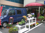 紺のデリーボーイ花車号がお出迎え