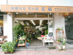 花の店　花扇
