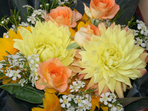 FLAFLA