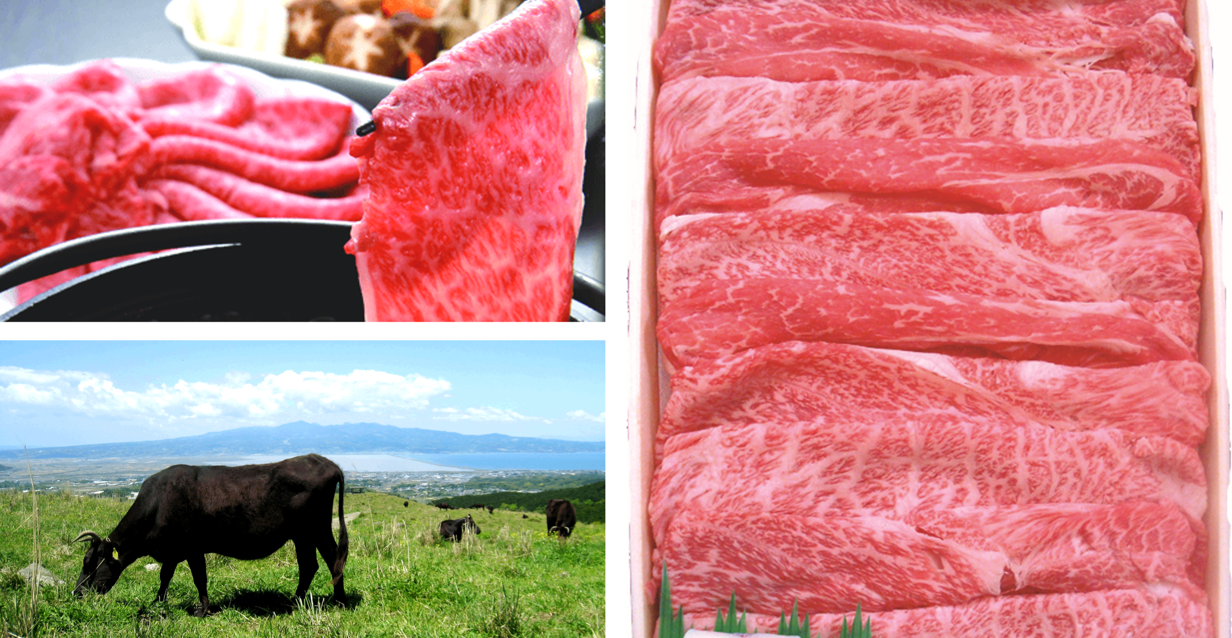 『【長崎県佐世保市】長崎和牛ロースすき焼き肉の盛合せ（15000円相当）』1名様